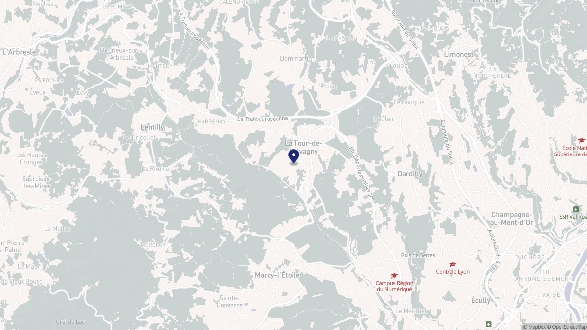 Aperçu cartographique de La Tour-de-Salvagny, centré sur la commune