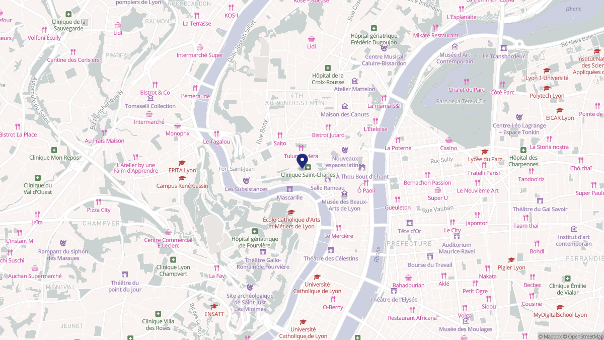 Aperçu cartographique de Lyon 1er Arrondissement, centré sur la commune