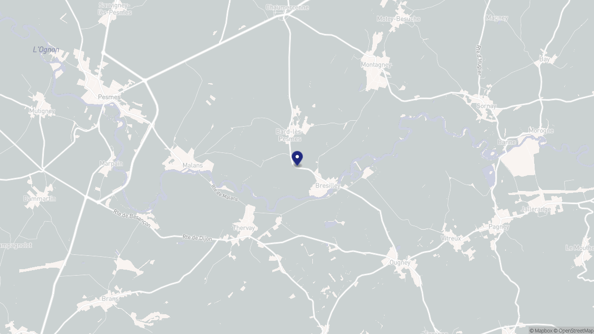 Aperçu cartographique de Bresilley, centré sur la commune