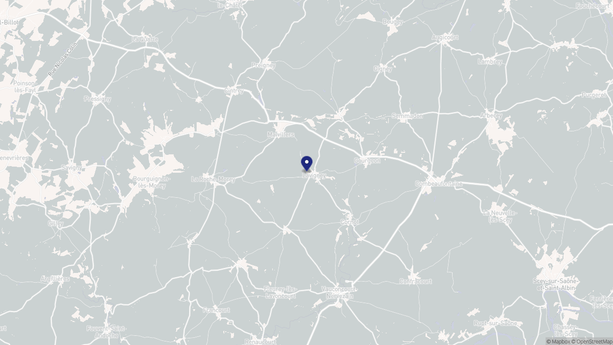 Aperçu cartographique de Lavigney, centré sur la commune