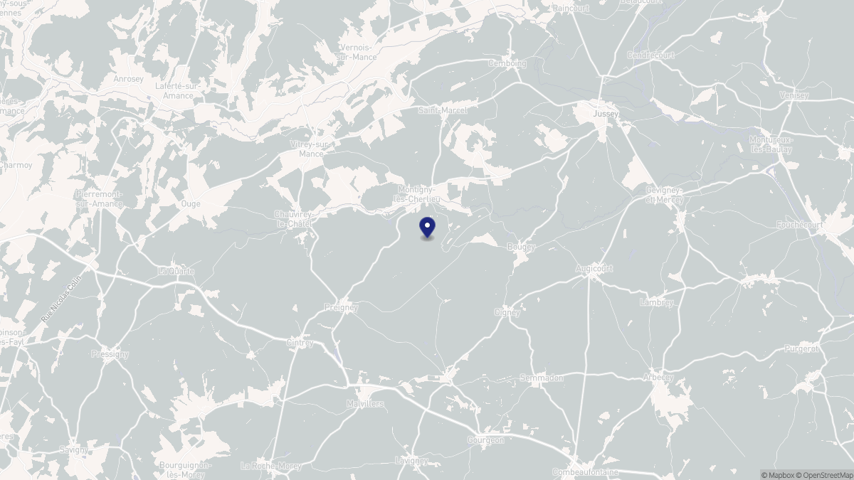 Aperçu cartographique de Montigny-lès-Cherlieu, centré sur la commune