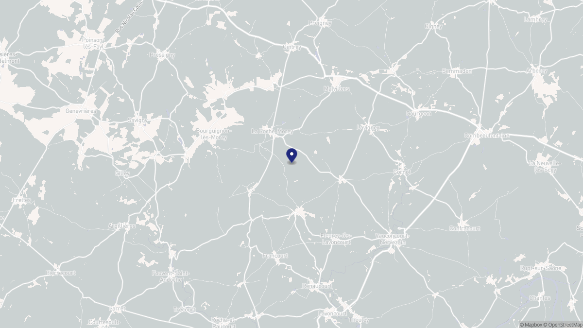 Aperçu cartographique de La Roche-Morey, centré sur la commune