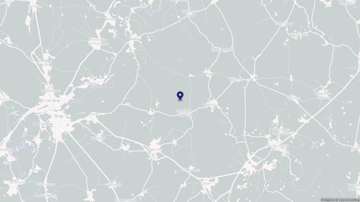 Aperçu cartographique de Sauvigney-lès-Gray, centré sur la commune