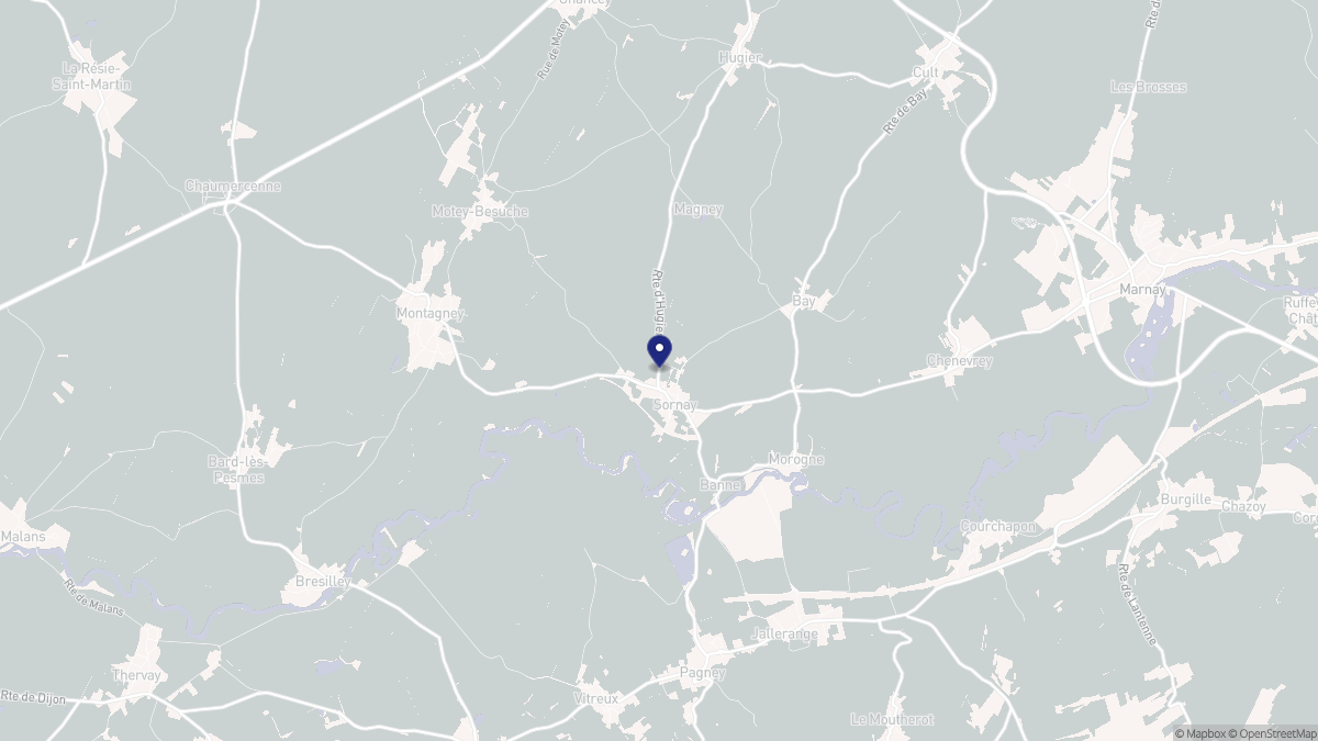 Aperçu cartographique de Sornay, centré sur la commune