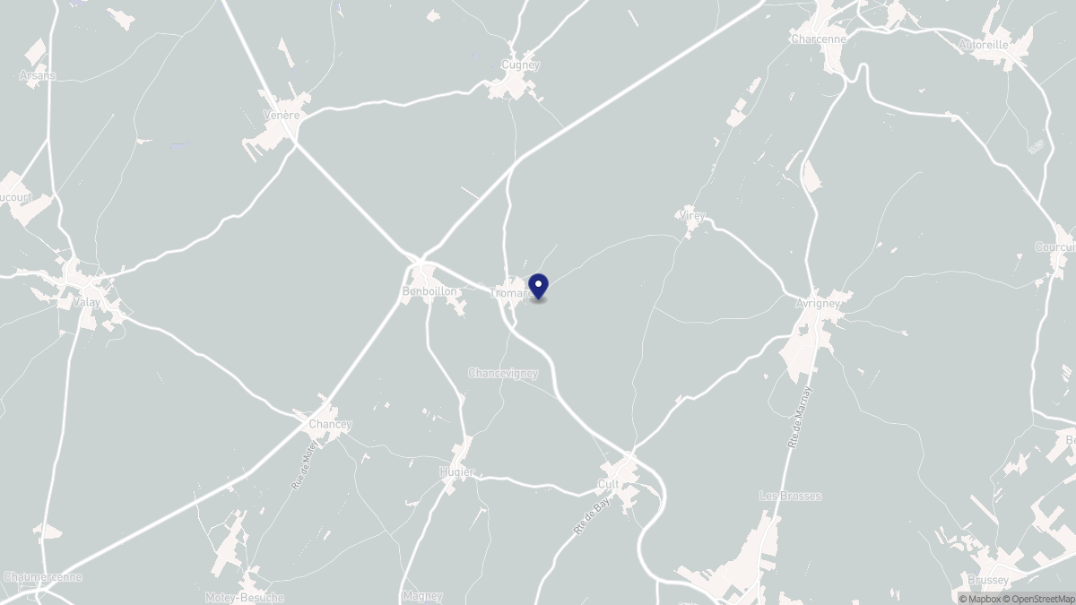 Aperçu cartographique de Tromarey, centré sur la commune