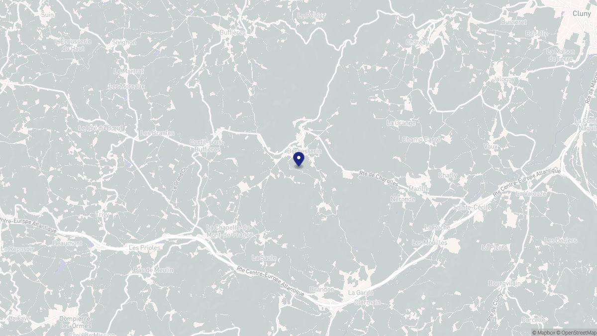 Aperçu cartographique de Bergesserin, centré sur la commune