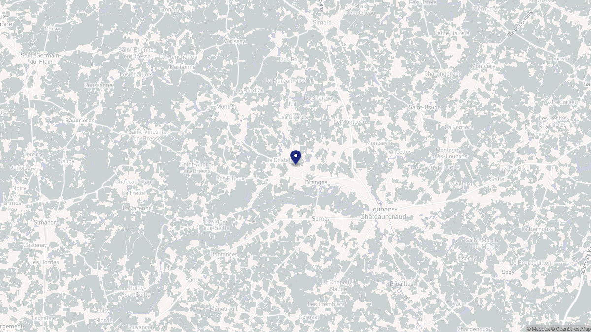 Aperçu cartographique de Branges, centré sur la commune