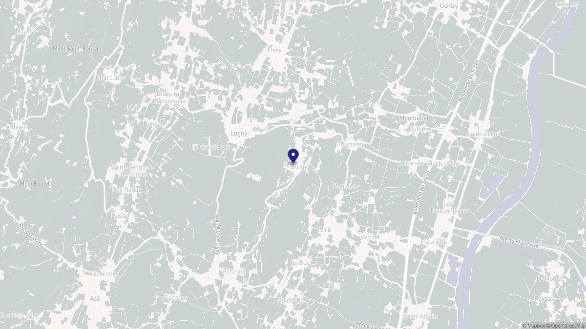 Aperçu cartographique de Burgy, centré sur la commune