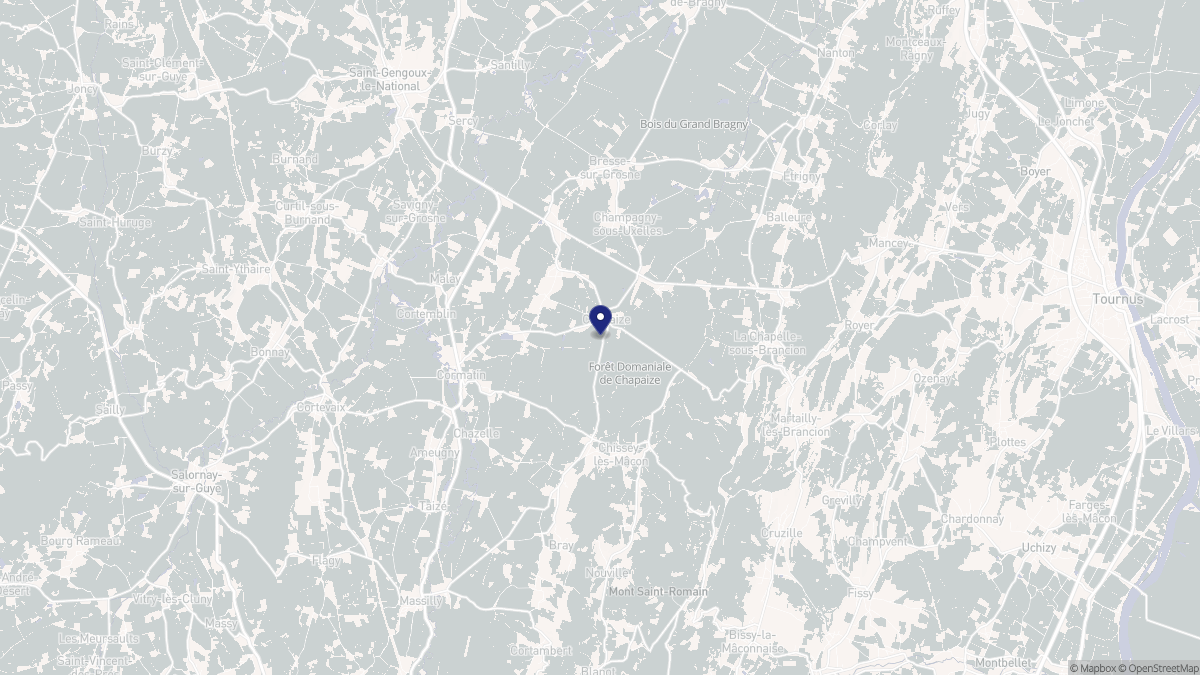Aperçu cartographique de Chapaize, centré sur la commune