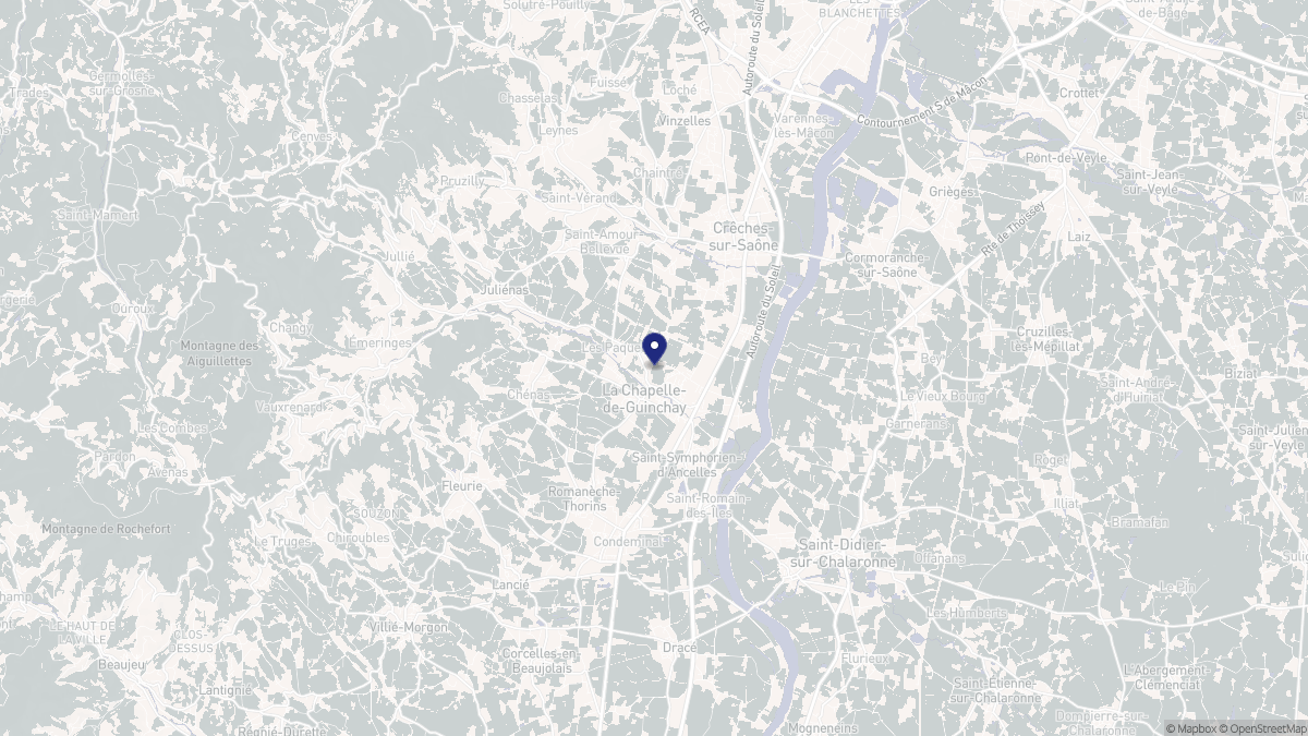 Aperçu cartographique de La Chapelle-de-Guinchay, centré sur la commune