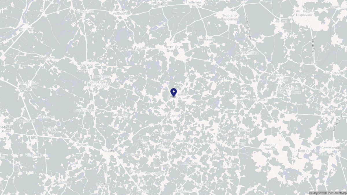 Aperçu cartographique de La Chapelle-Saint-Sauveur, centré sur la commune
