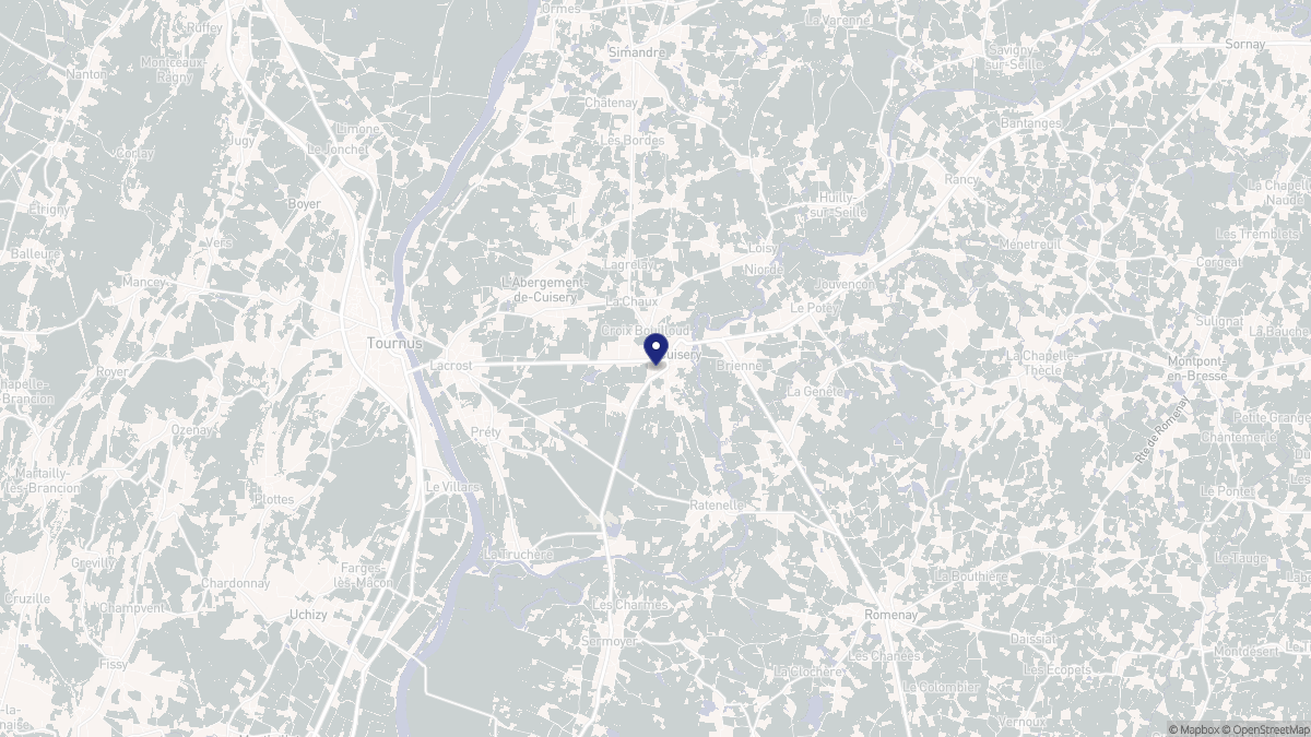 Aperçu cartographique de Cuisery, centré sur la commune