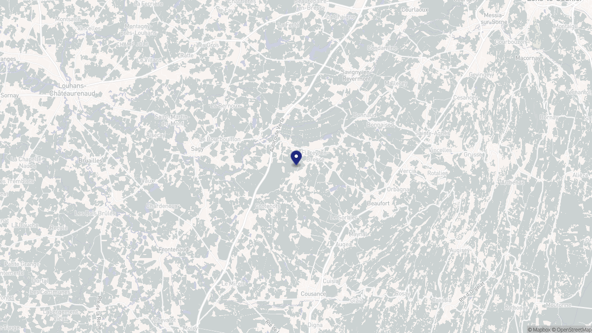 Aperçu cartographique de Flacey-en-Bresse, centré sur la commune
