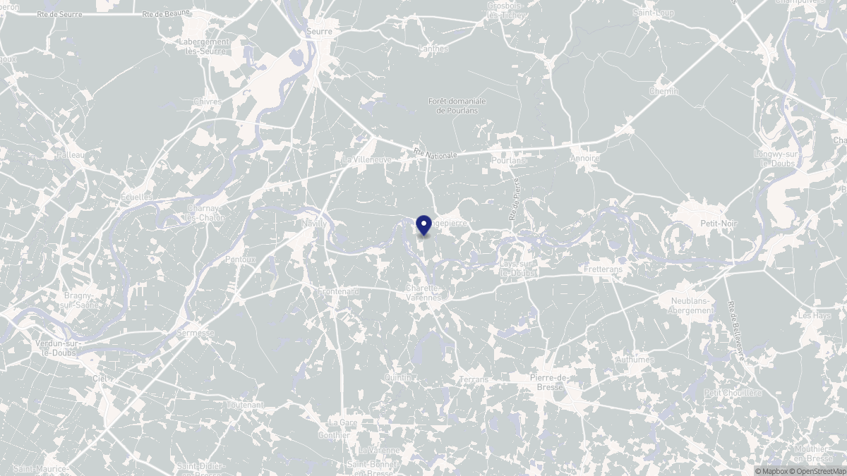 Aperçu cartographique de Longepierre, centré sur la commune