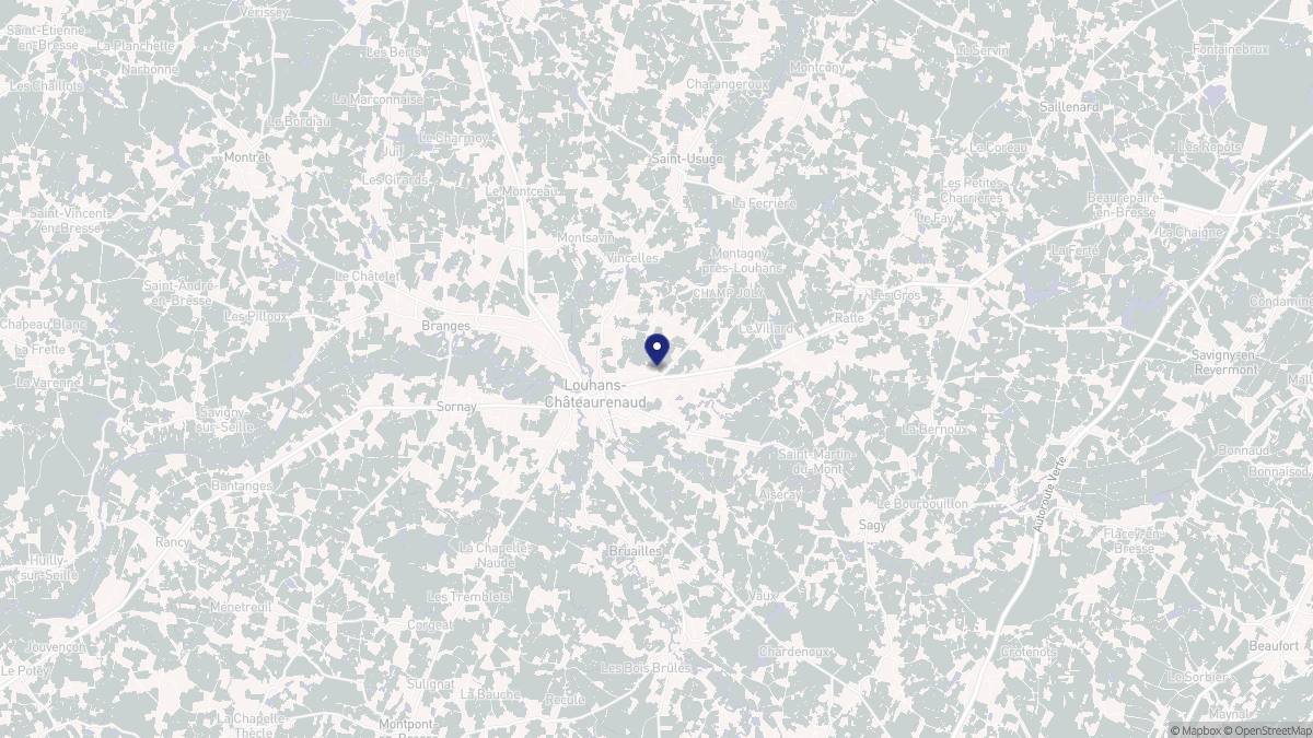 Aperçu cartographique de Louhans-Châteaurenaud, centré sur la commune