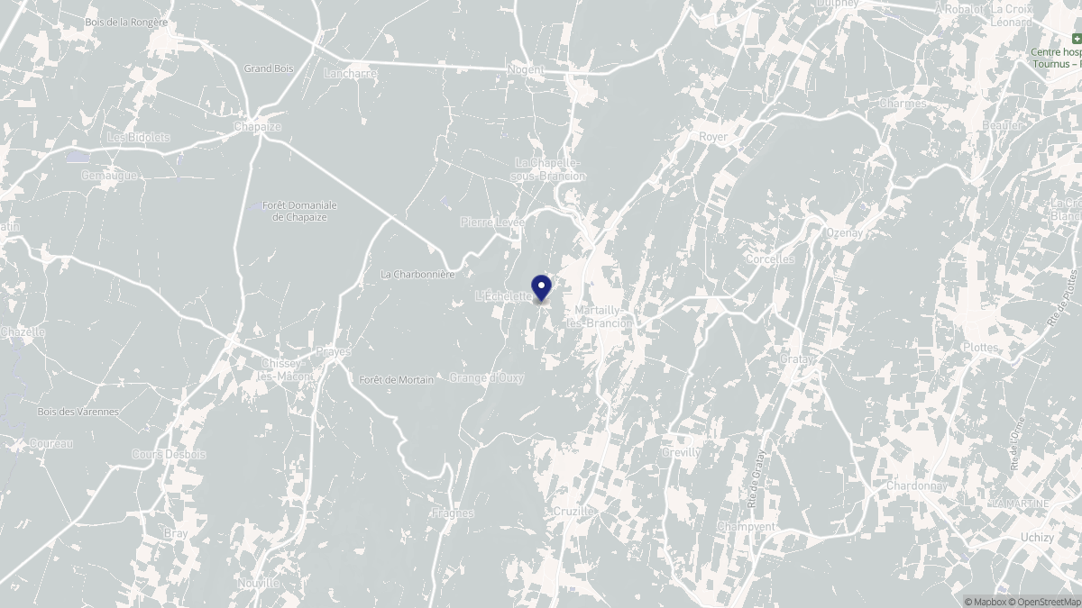 Aperçu cartographique de Martailly-lès-Brancion, centré sur la commune