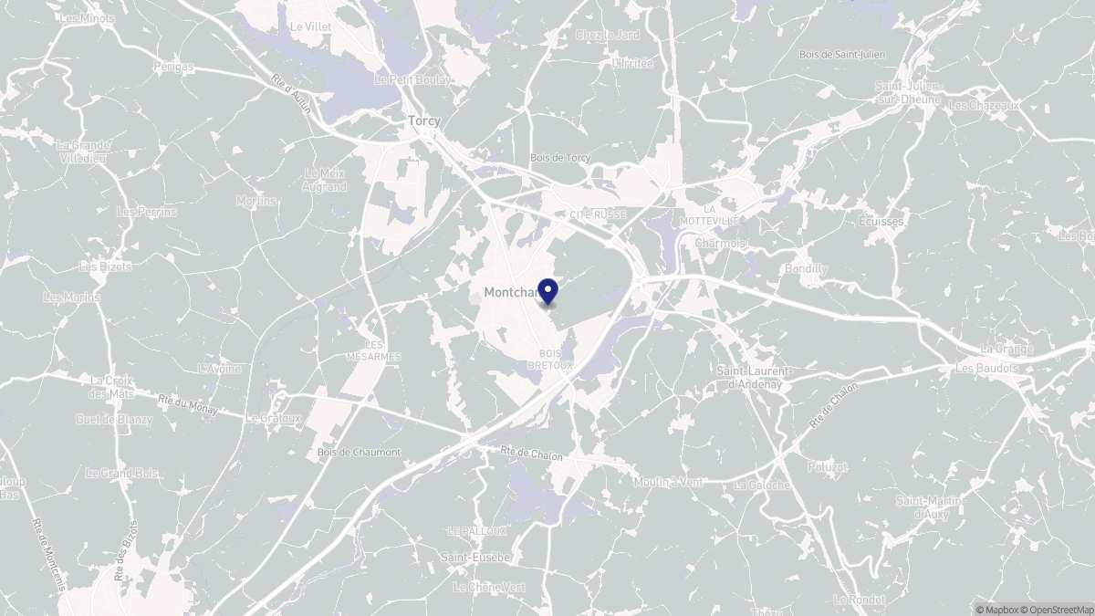 Aperçu cartographique de Montchanin, centré sur la commune
