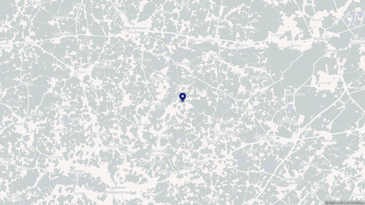 Aperçu cartographique de Montcony, centré sur la commune