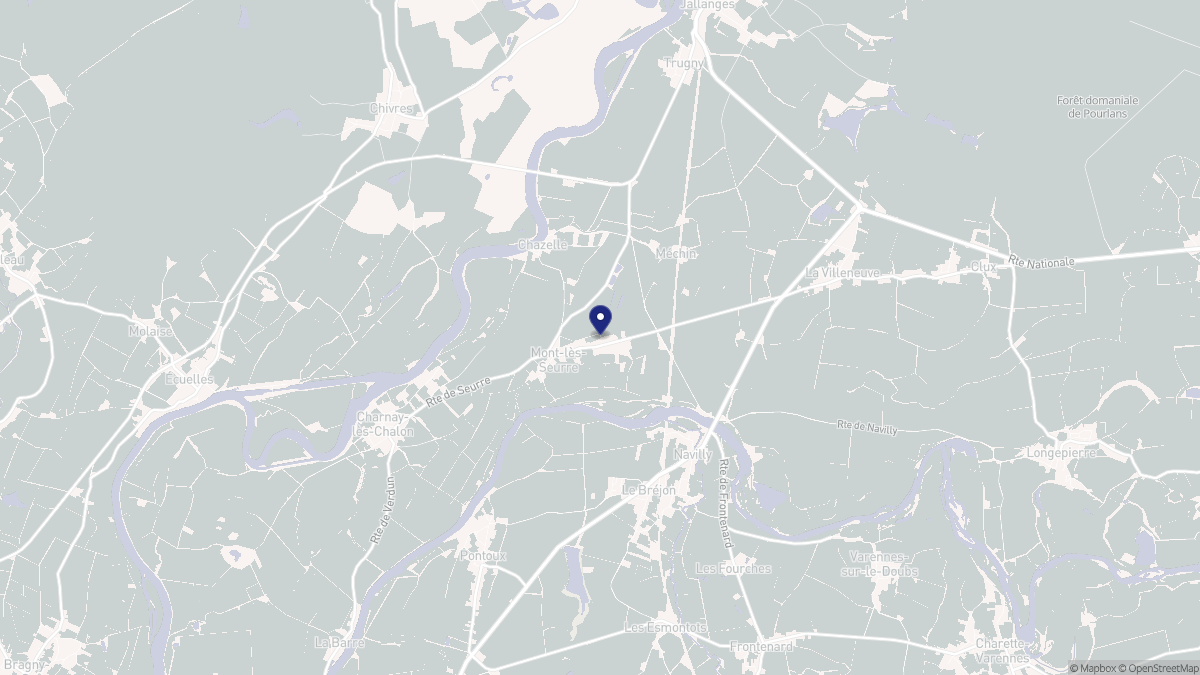 Aperçu cartographique de Mont-lès-Seurre, centré sur la commune