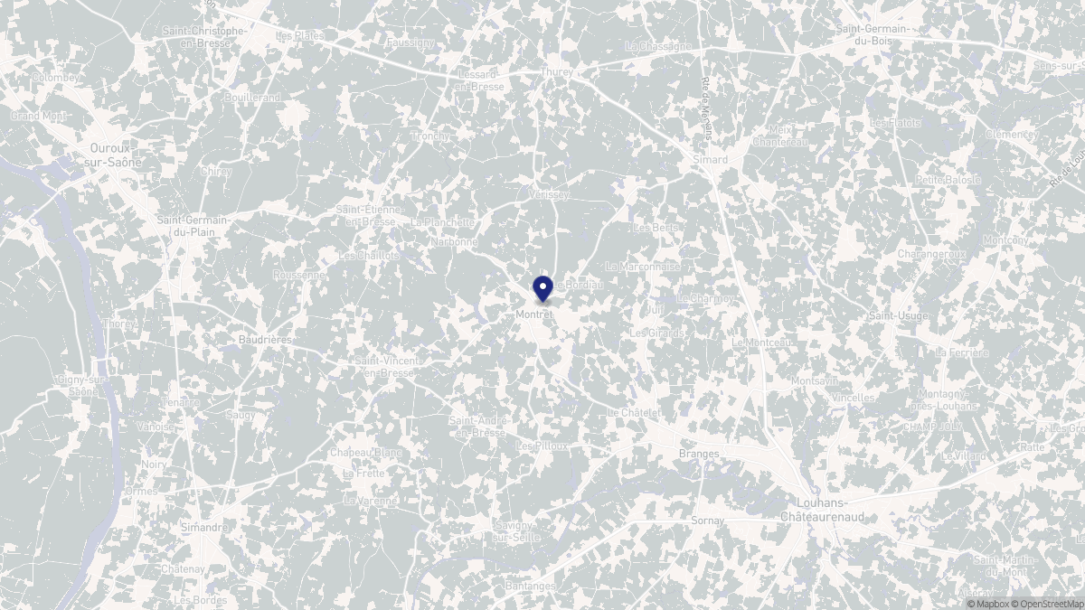 Aperçu cartographique de Montret, centré sur la commune