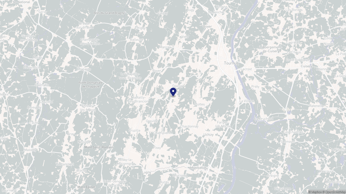 Aperçu cartographique de Ozenay, centré sur la commune