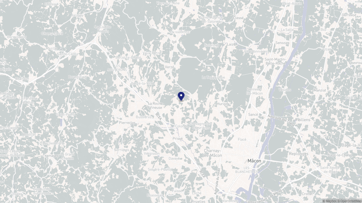 Aperçu cartographique de La Roche-Vineuse, centré sur la commune