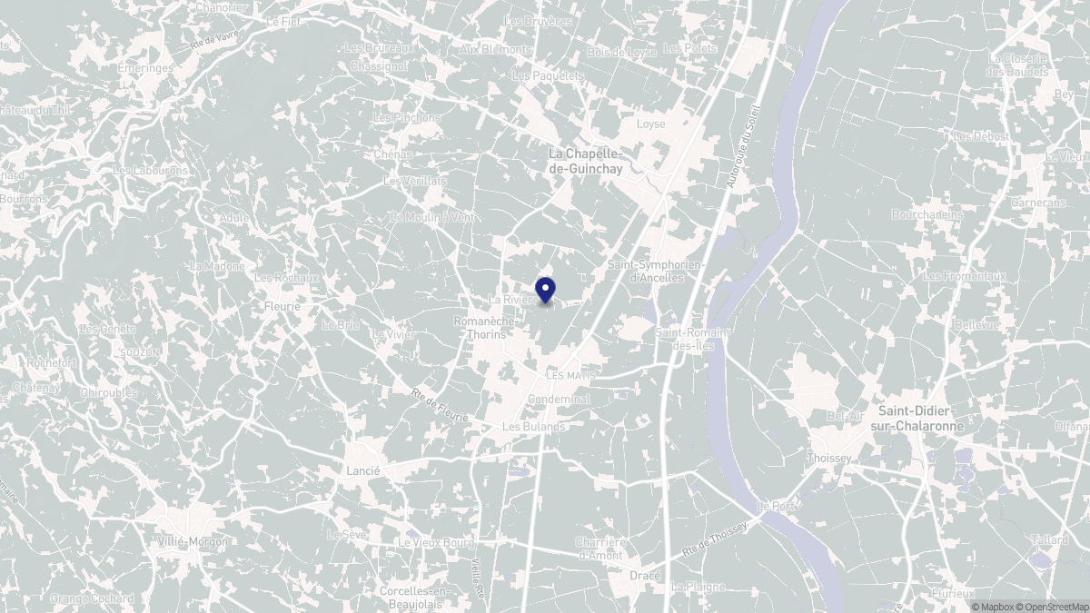 Aperçu cartographique de Romanèche-Thorins, centré sur la commune