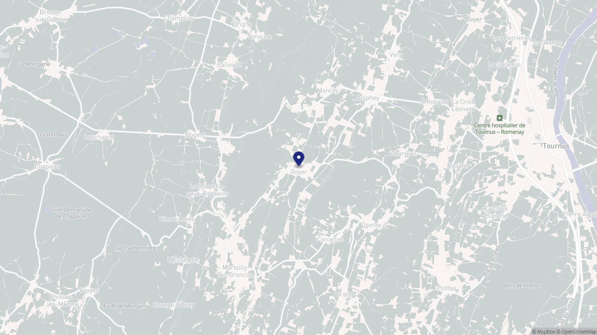 Aperçu cartographique de Royer, centré sur la commune
