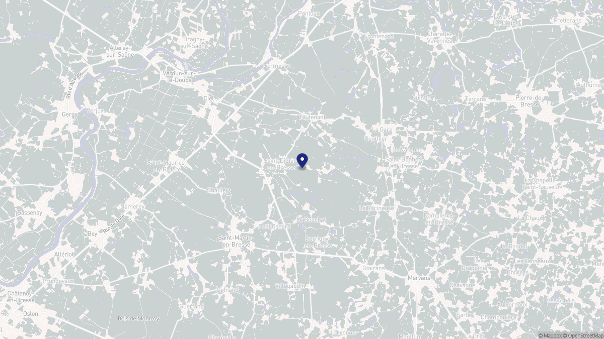 Aperçu cartographique de Saint-Didier-en-Bresse, centré sur la commune