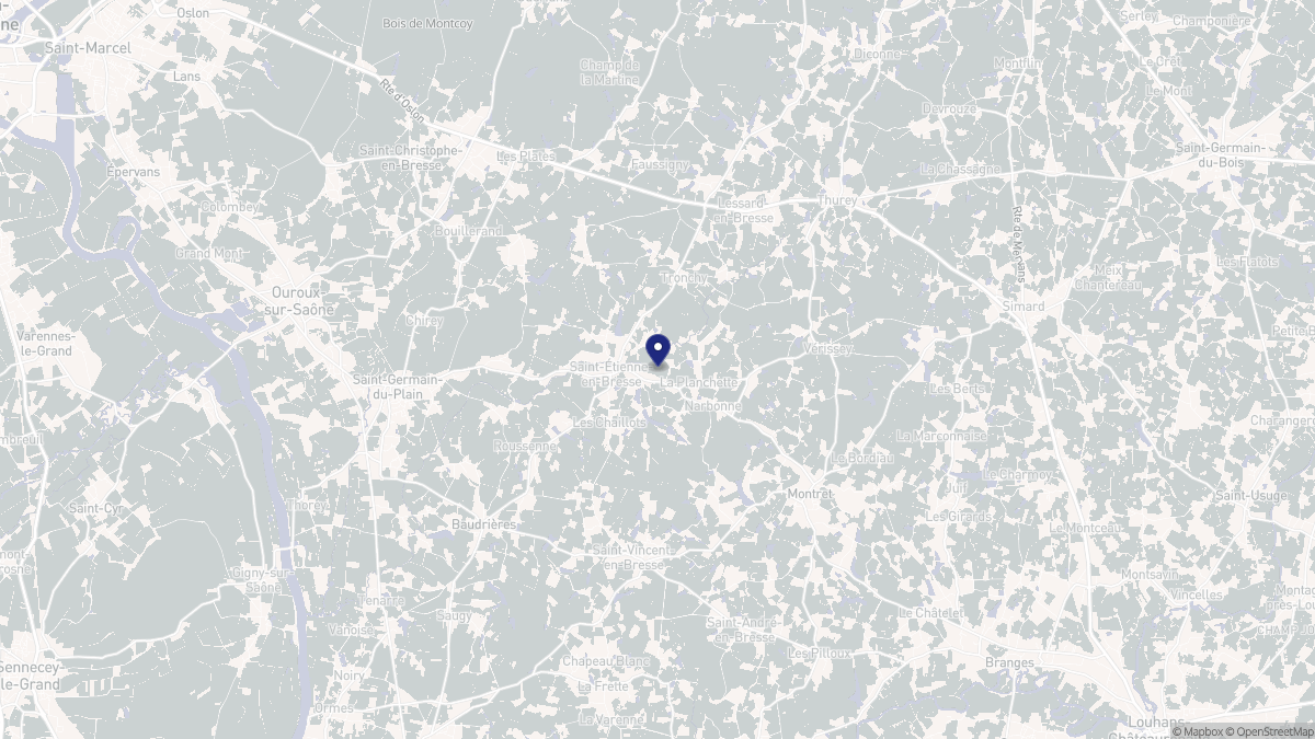 Aperçu cartographique de Saint-Étienne-en-Bresse, centré sur la commune