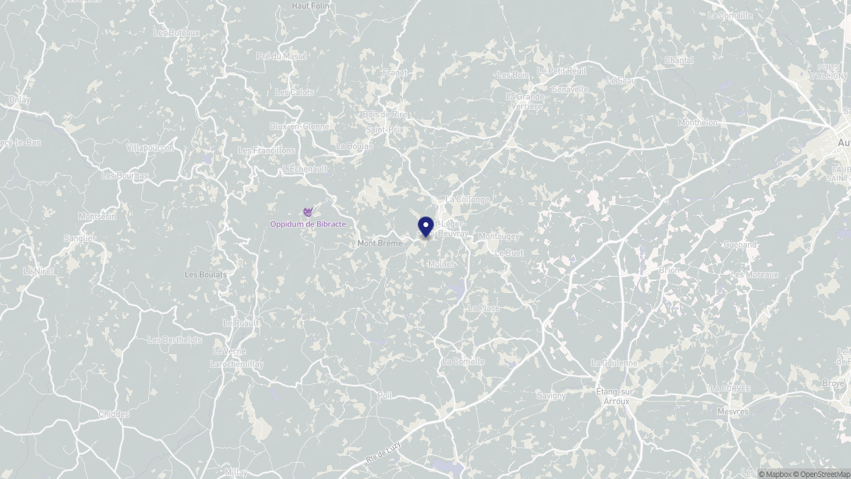 Aperçu cartographique de Saint-Léger-sous-Beuvray, centré sur la commune