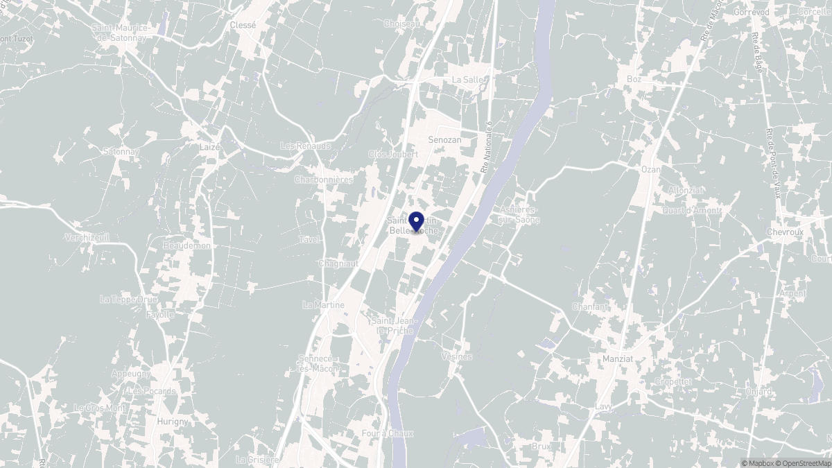 Aperçu cartographique de Saint-Martin-Belle-Roche, centré sur la commune