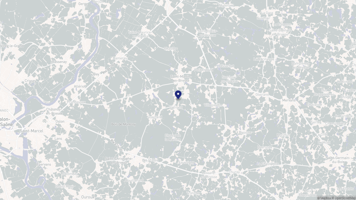 Aperçu cartographique de Saint-Martin-en-Bresse, centré sur la commune