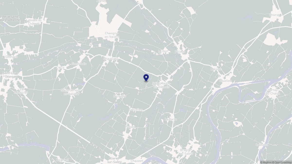 Aperçu cartographique de Saint-Martin-en-Gâtinois, centré sur la commune