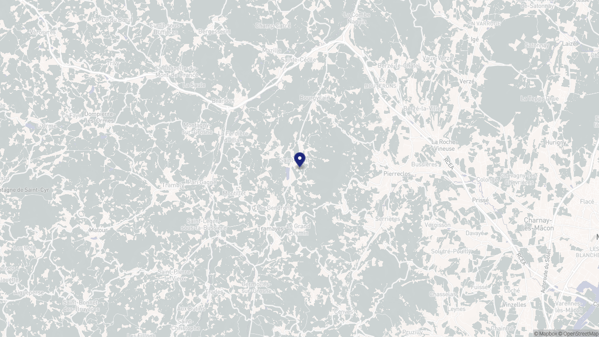 Aperçu cartographique de Saint-Point, centré sur la commune