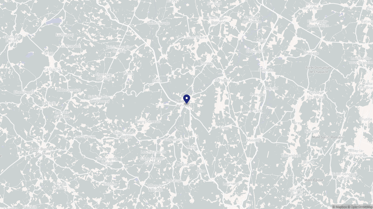 Aperçu cartographique de Salornay-sur-Guye, centré sur la commune