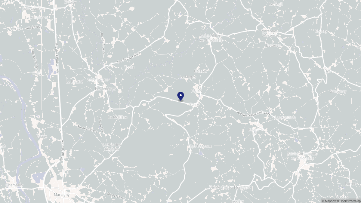 Aperçu cartographique de Sarry, centré sur la commune