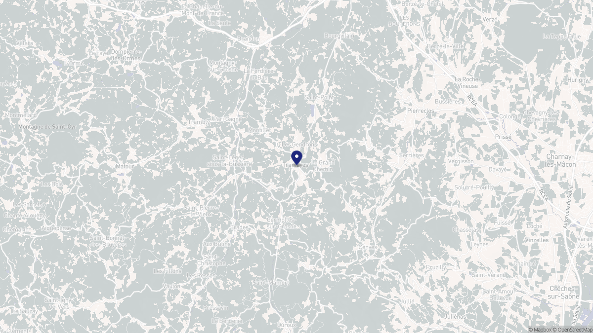 Aperçu cartographique de Tramayes, centré sur la commune