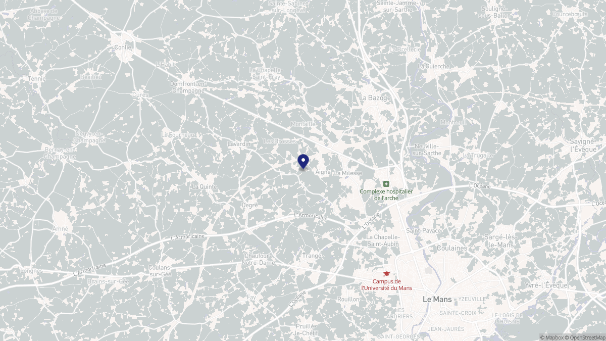 Aperçu cartographique de Aigné, centré sur la commune