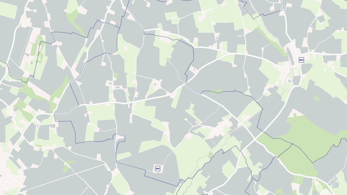 Aperçu cartographique de Avesnes-en-Saosnois, centré sur la commune