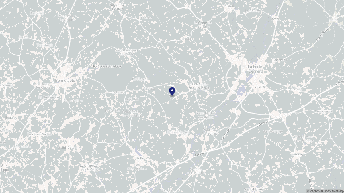Aperçu cartographique de La Bosse, centré sur la commune
