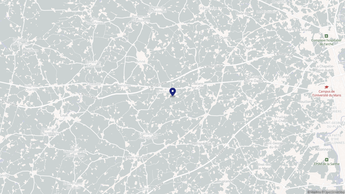 Aperçu cartographique de Brains-sur-Gée, centré sur la commune