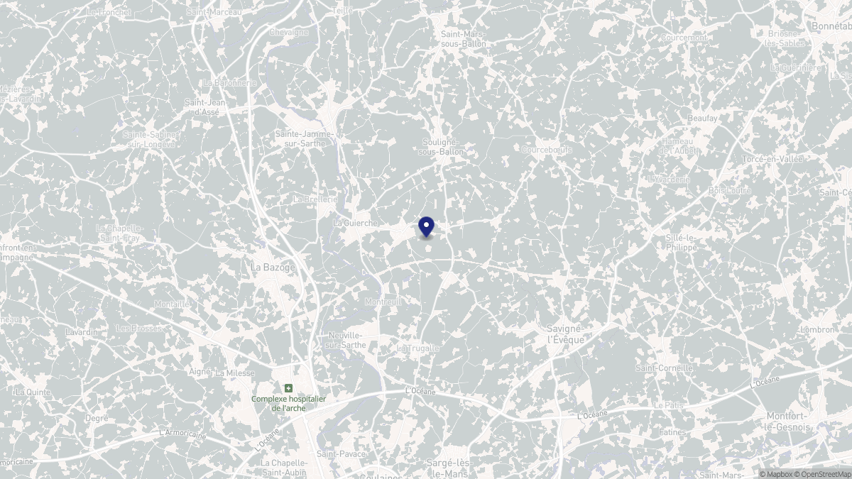 Aperçu cartographique de Joué-l'Abbé, centré sur la commune