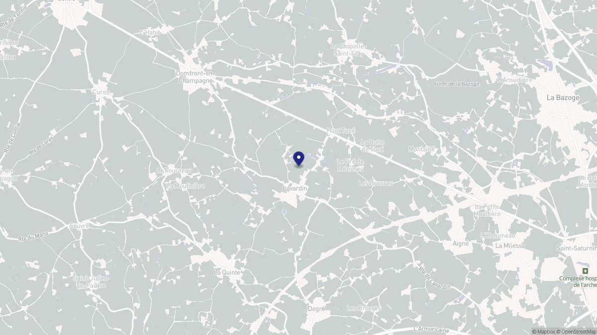 Aperçu cartographique de Lavardin, centré sur la commune