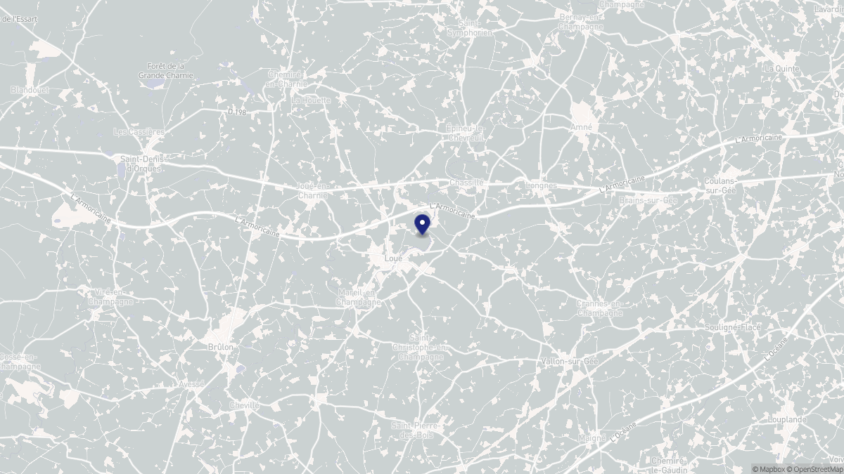 Aperçu cartographique de Loué, centré sur la commune