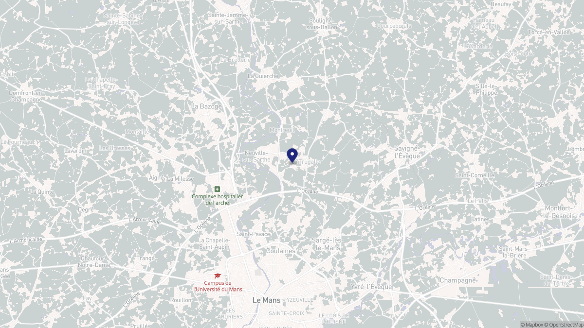 Aperçu cartographique de Neuville-sur-Sarthe, centré sur la commune