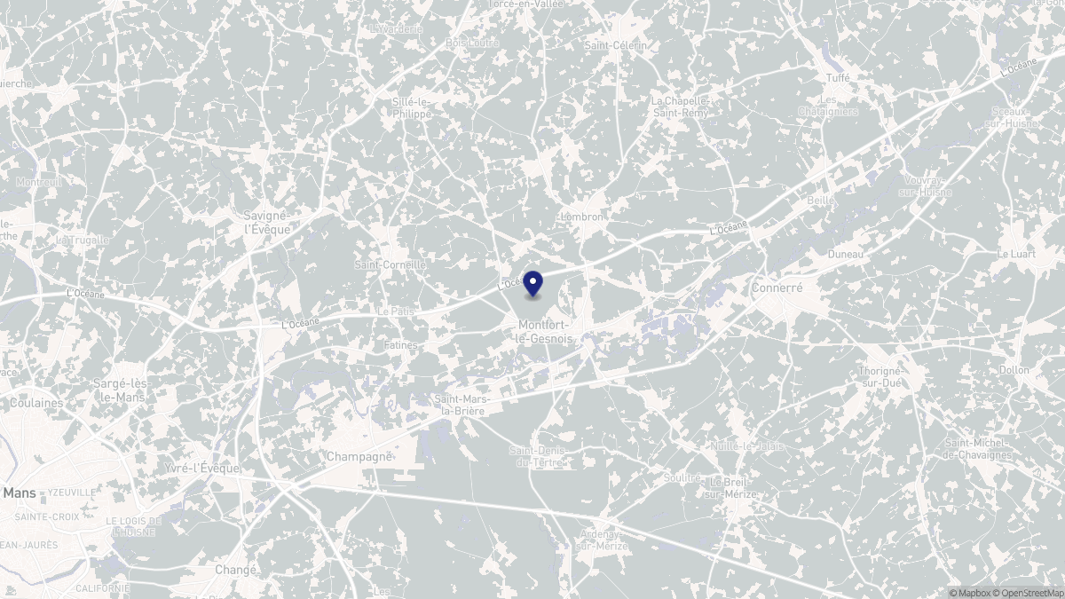 Aperçu cartographique de Montfort-le-Gesnois, centré sur la commune