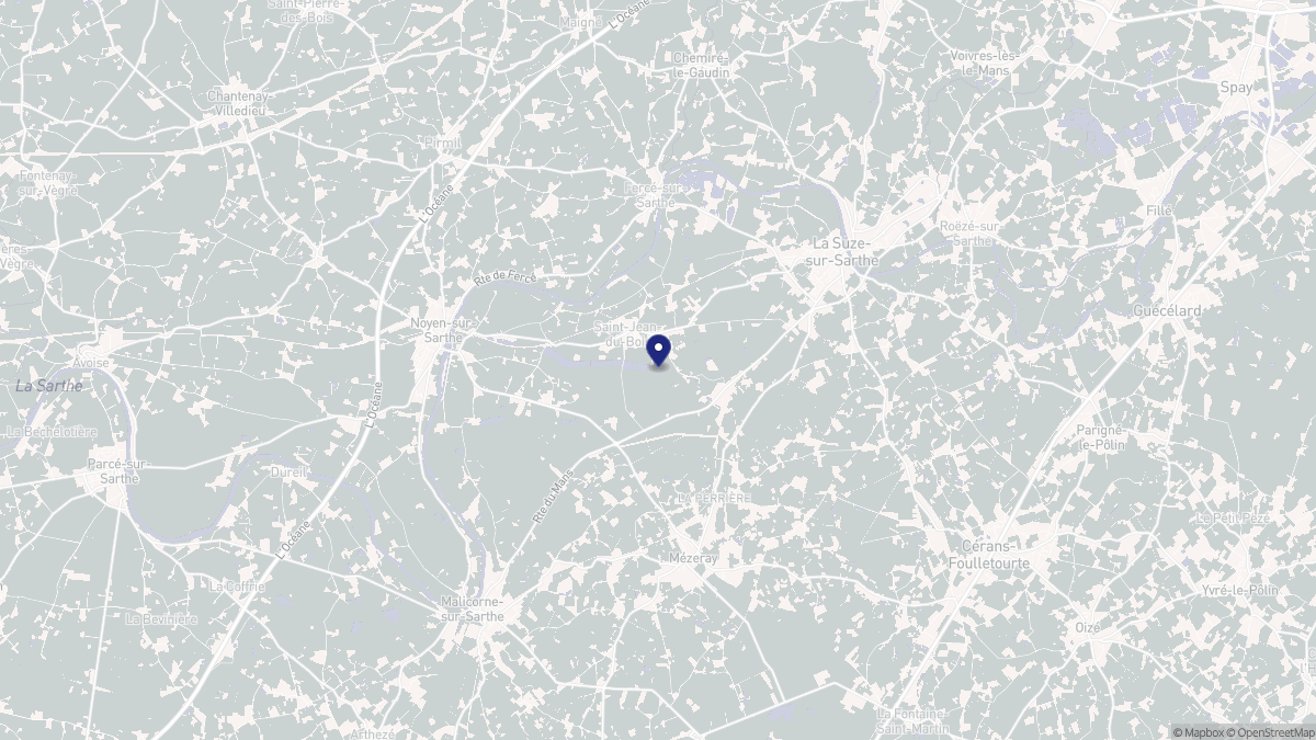 Aperçu cartographique de Saint-Jean-du-Bois, centré sur la commune