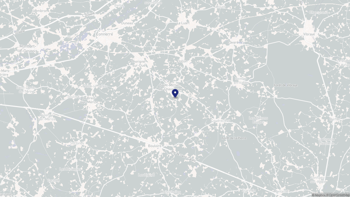 Aperçu cartographique de Saint-Michel-de-Chavaignes, centré sur la commune
