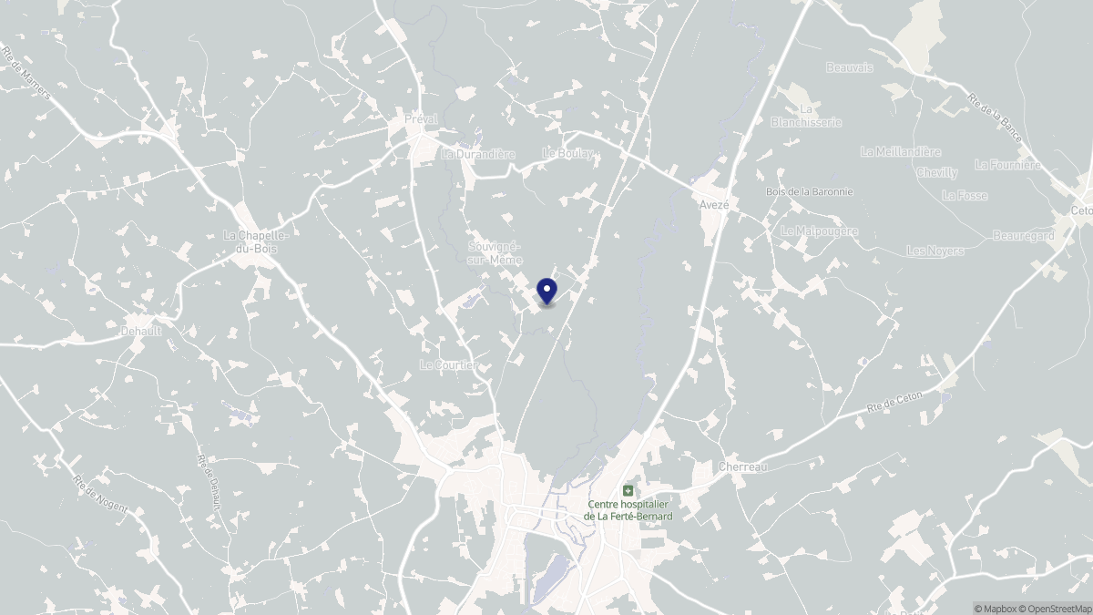 Aperçu cartographique de Souvigné-sur-Même, centré sur la commune